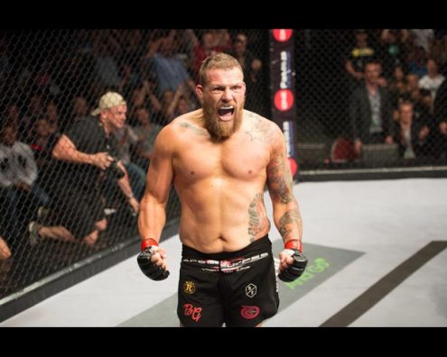 EFC 35: Brendon Groenewald vs. Christophe Walravens
