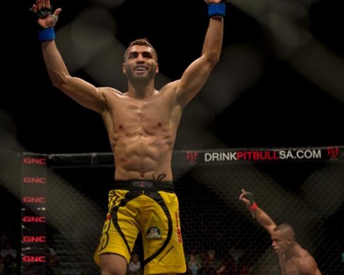 EFC 35 fight night at GrandWest on November 6, 2014 in Cape Town, South Africa.