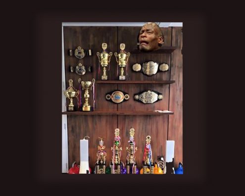 CHAMP VS. CHAMP: UPDATE