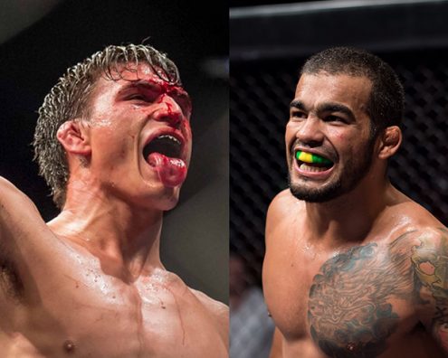 COSTA RETURNS TO FIGHT MADGE IN CAPE TOWN