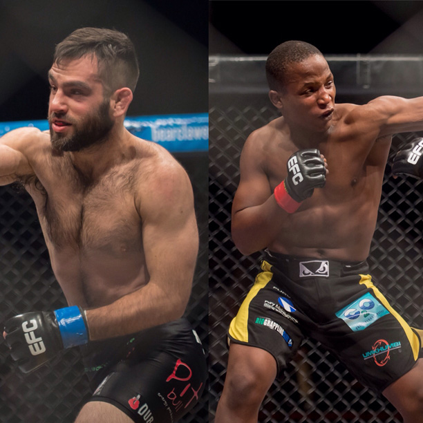 HEAVY HITTERS COLLIDE