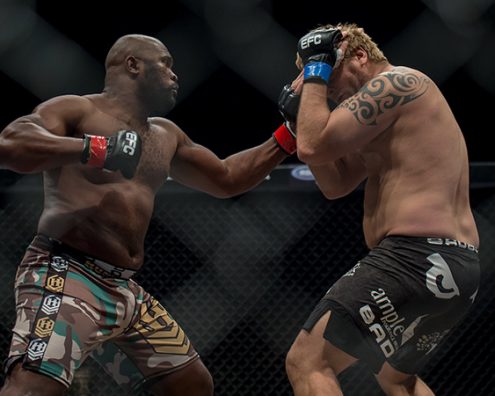 VAN ZYL VERSUS MOYO FOR GOLD IN SUN CITY
