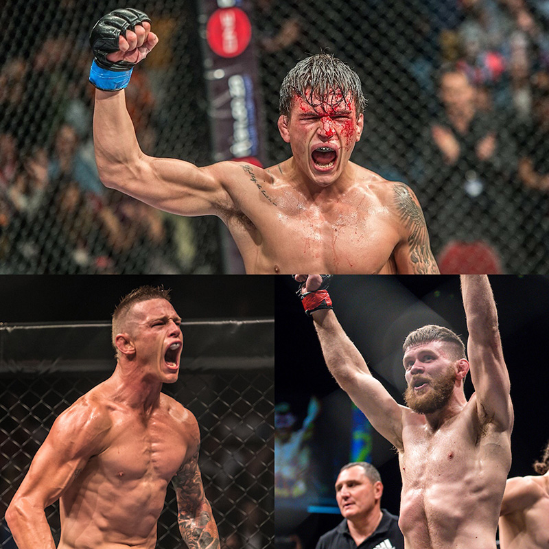 MADGE TO UFC, VACATES TITLE - VAN STADEN VS HUGHES