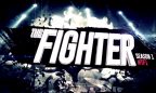 TF1 - The Fighter